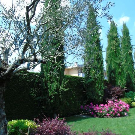 Ai Cipressi B&B Mestrino 外观 照片
